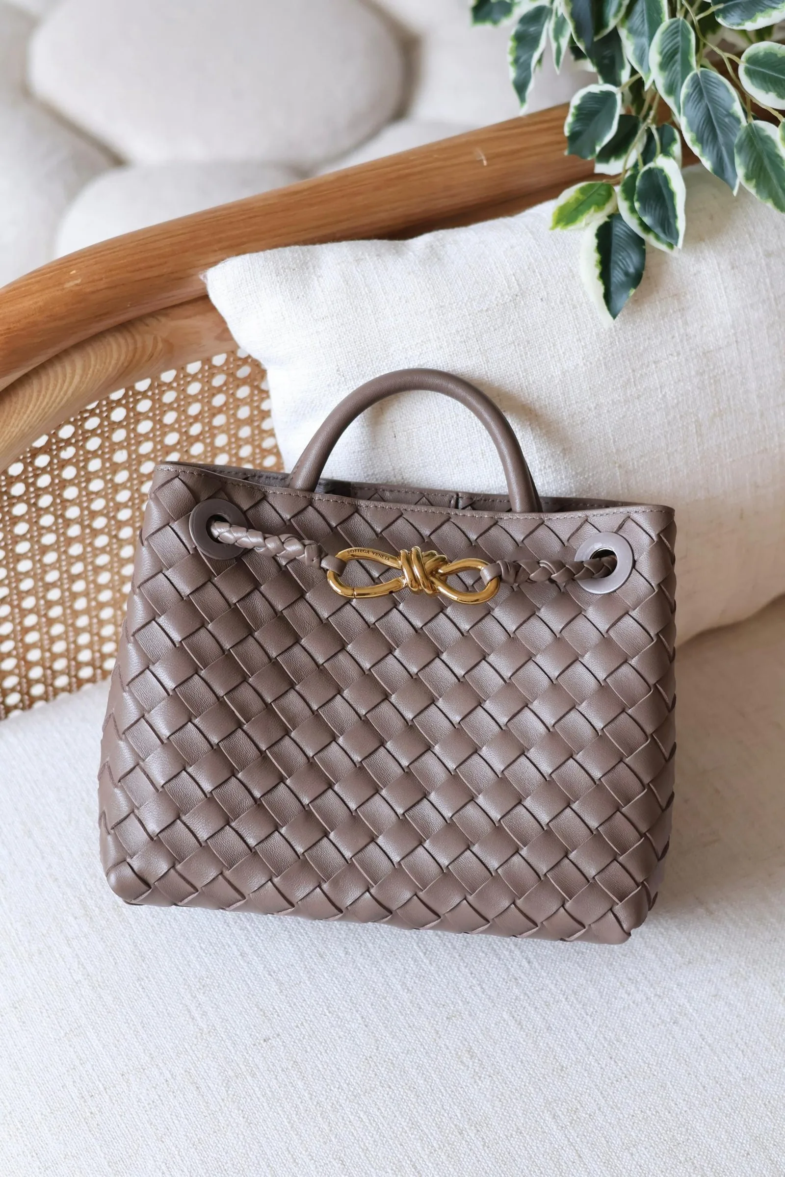 Bottega Veneta 25 bag