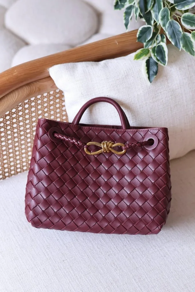 Bottega Veneta 25 bag