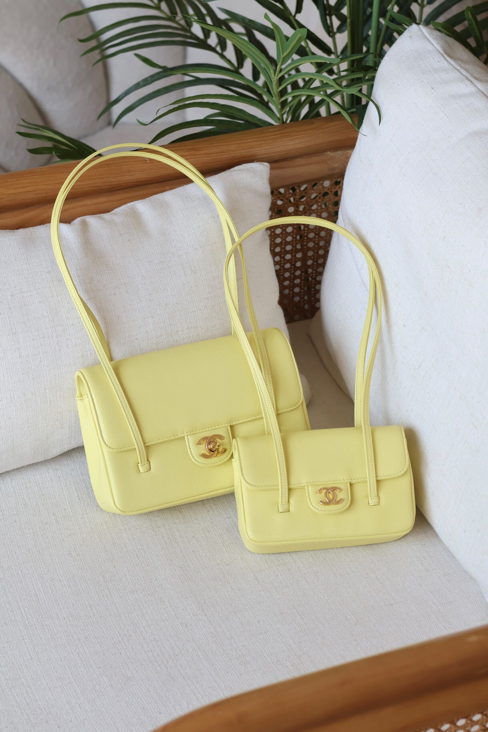 chanel bag