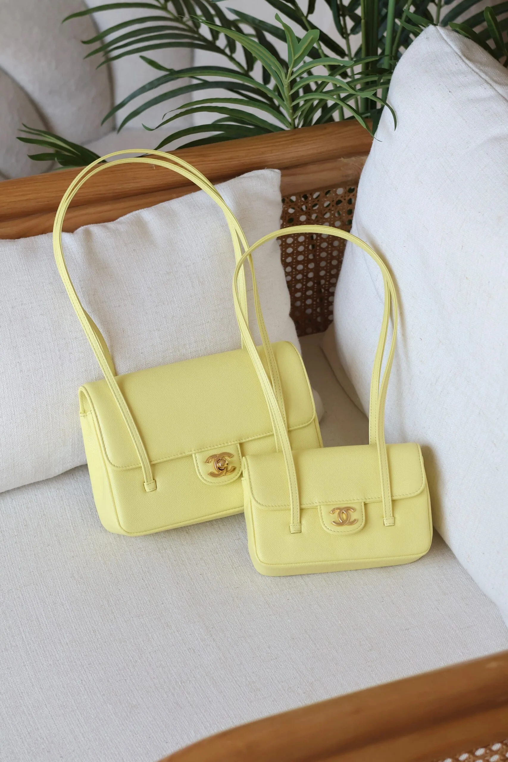 chanel bag