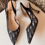 Adiorable Slingback Pump DIOR