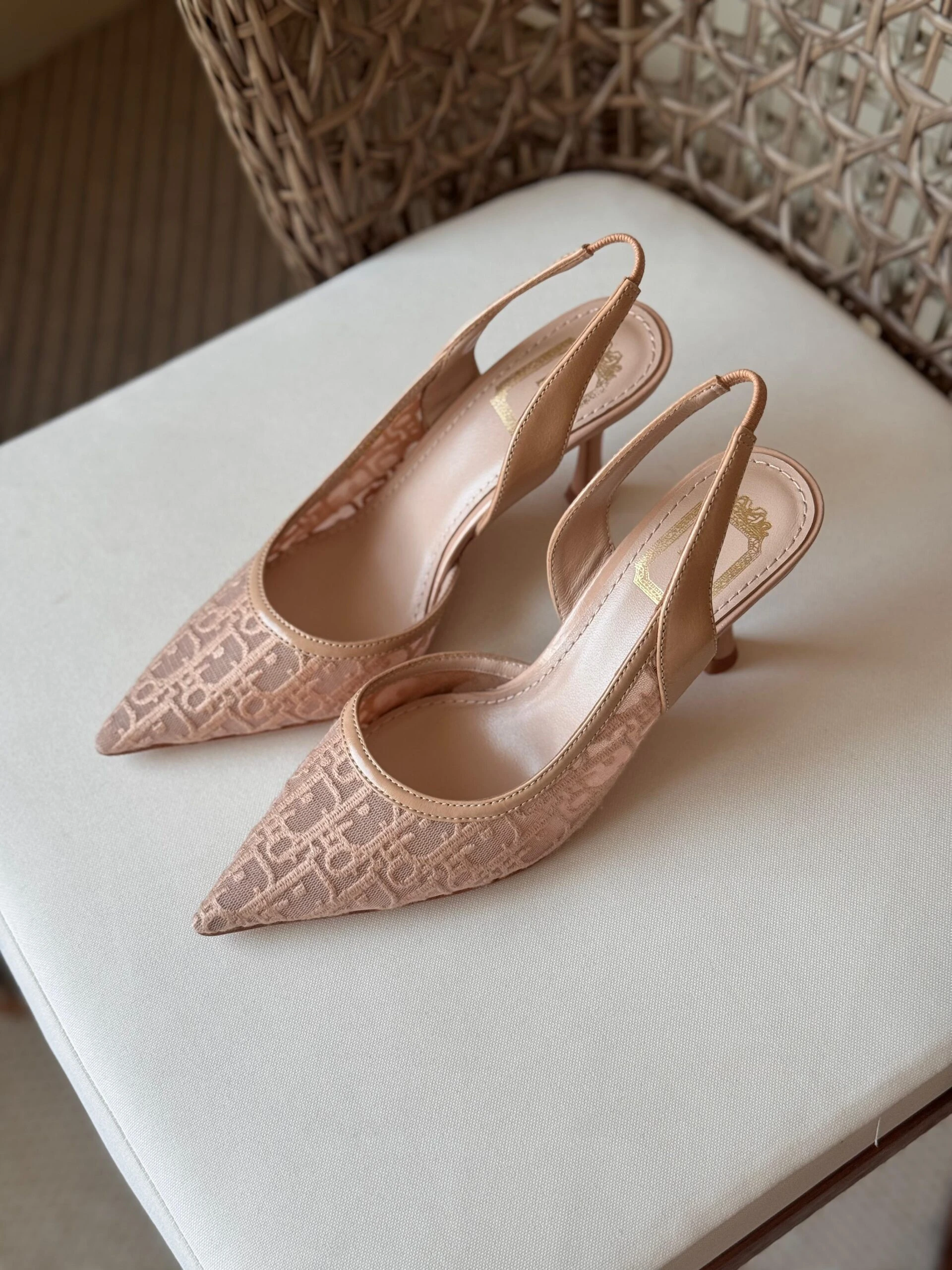 Adiorable Slingback Pump DIOR