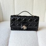 DIOR bag 20cm