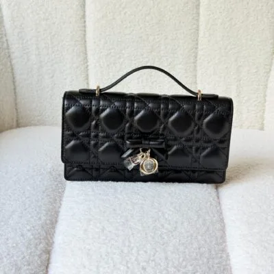DIOR bag 20cm - Side View