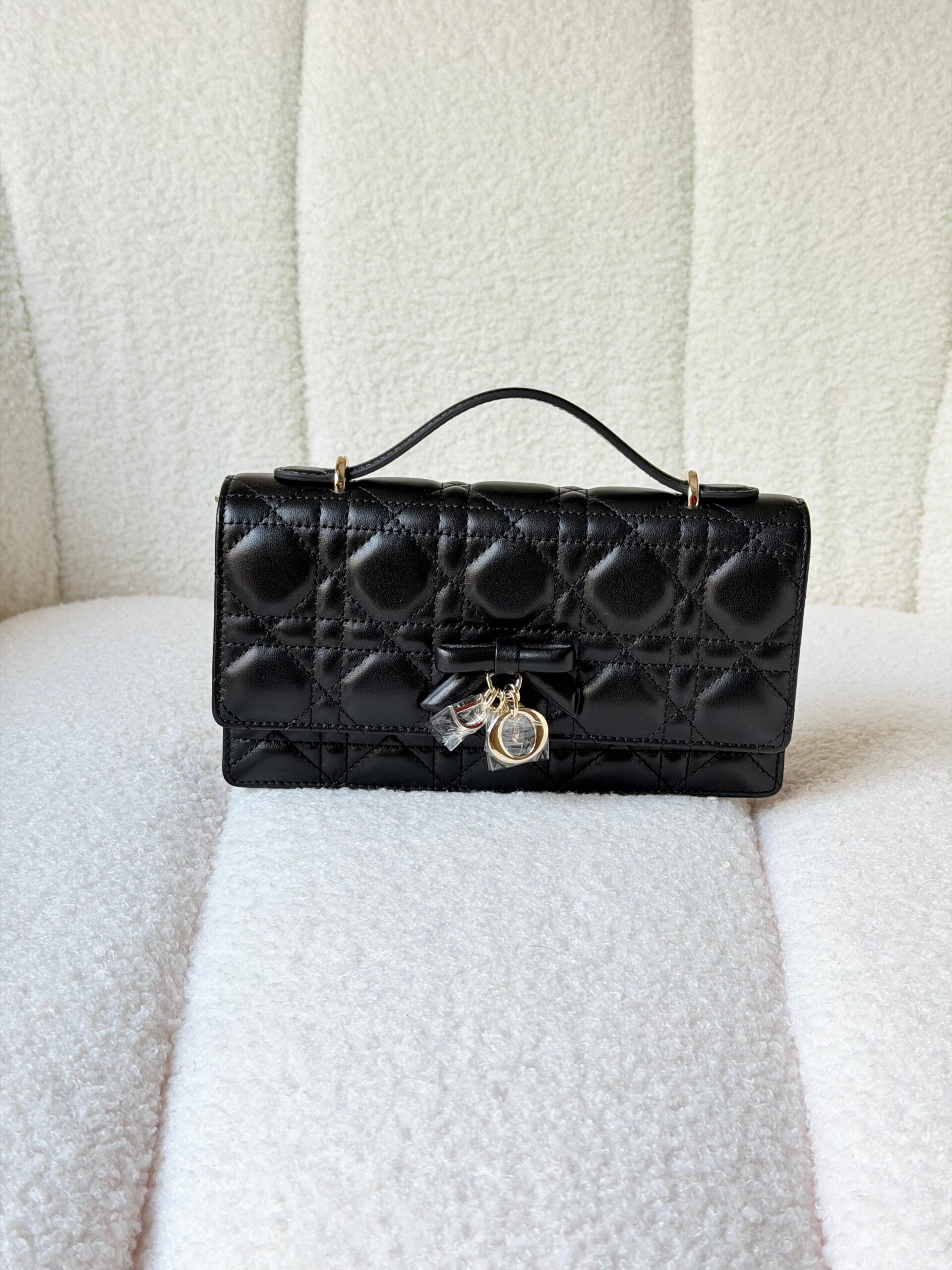 DIOR bag 20cm