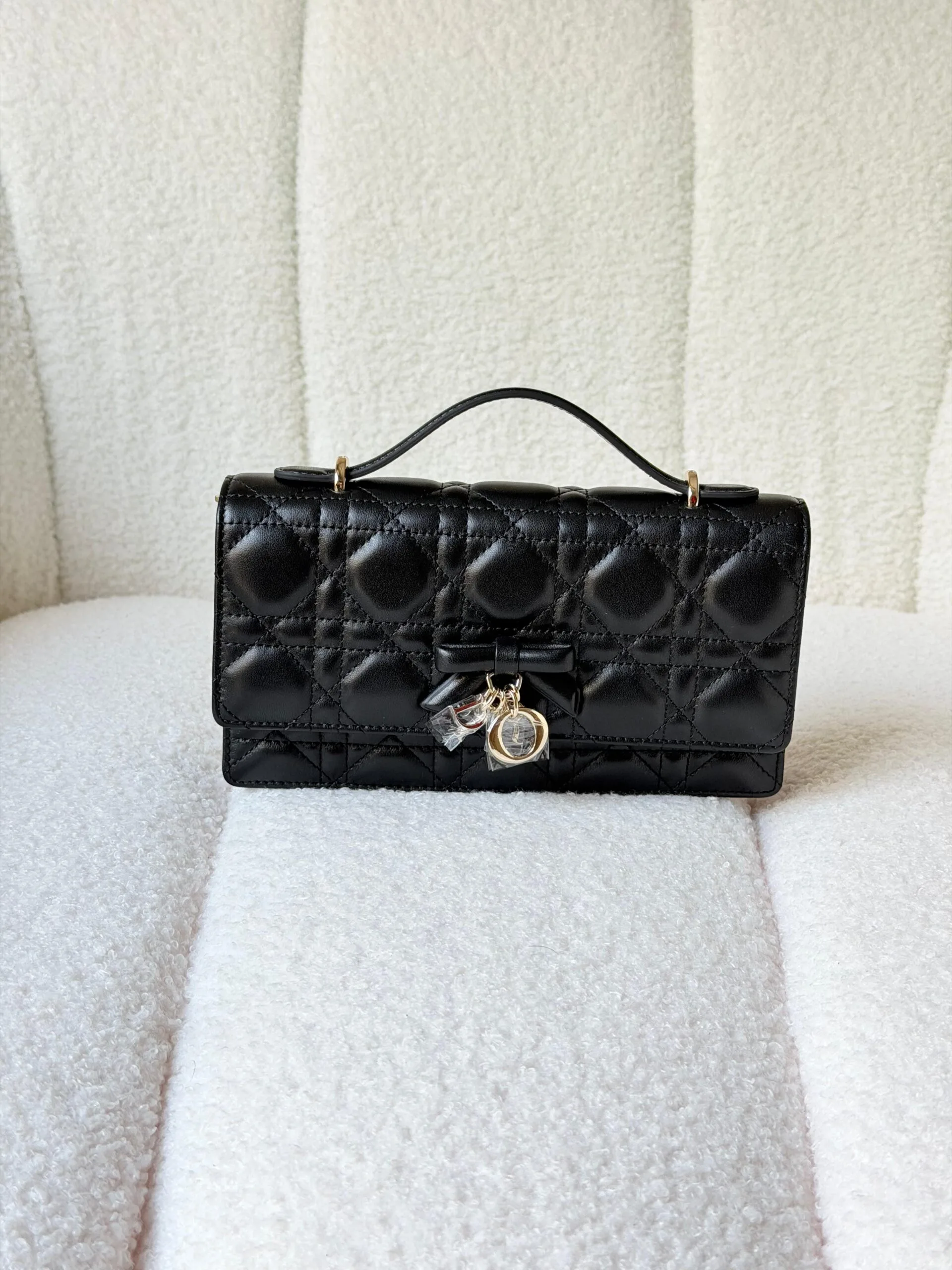 DIOR bag 20cm - Side View