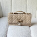 DIOR bag 20cm