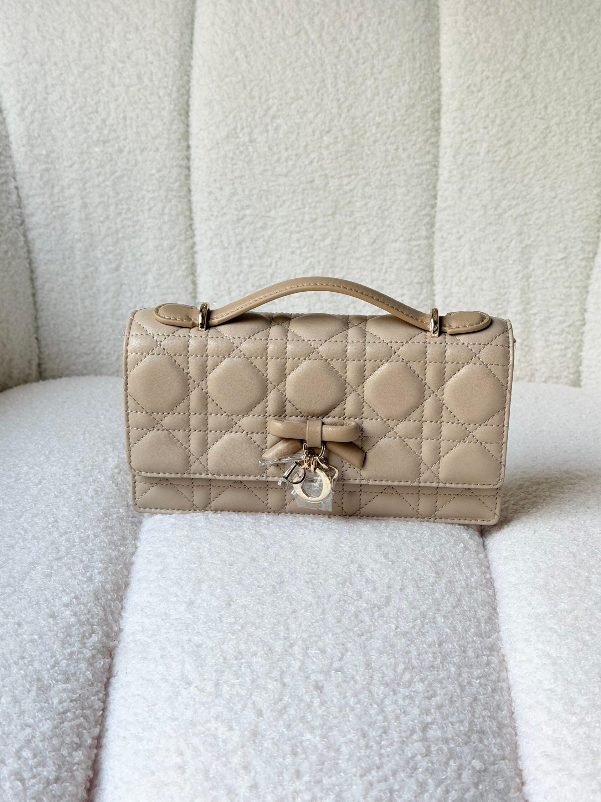 DIOR bag 20cm