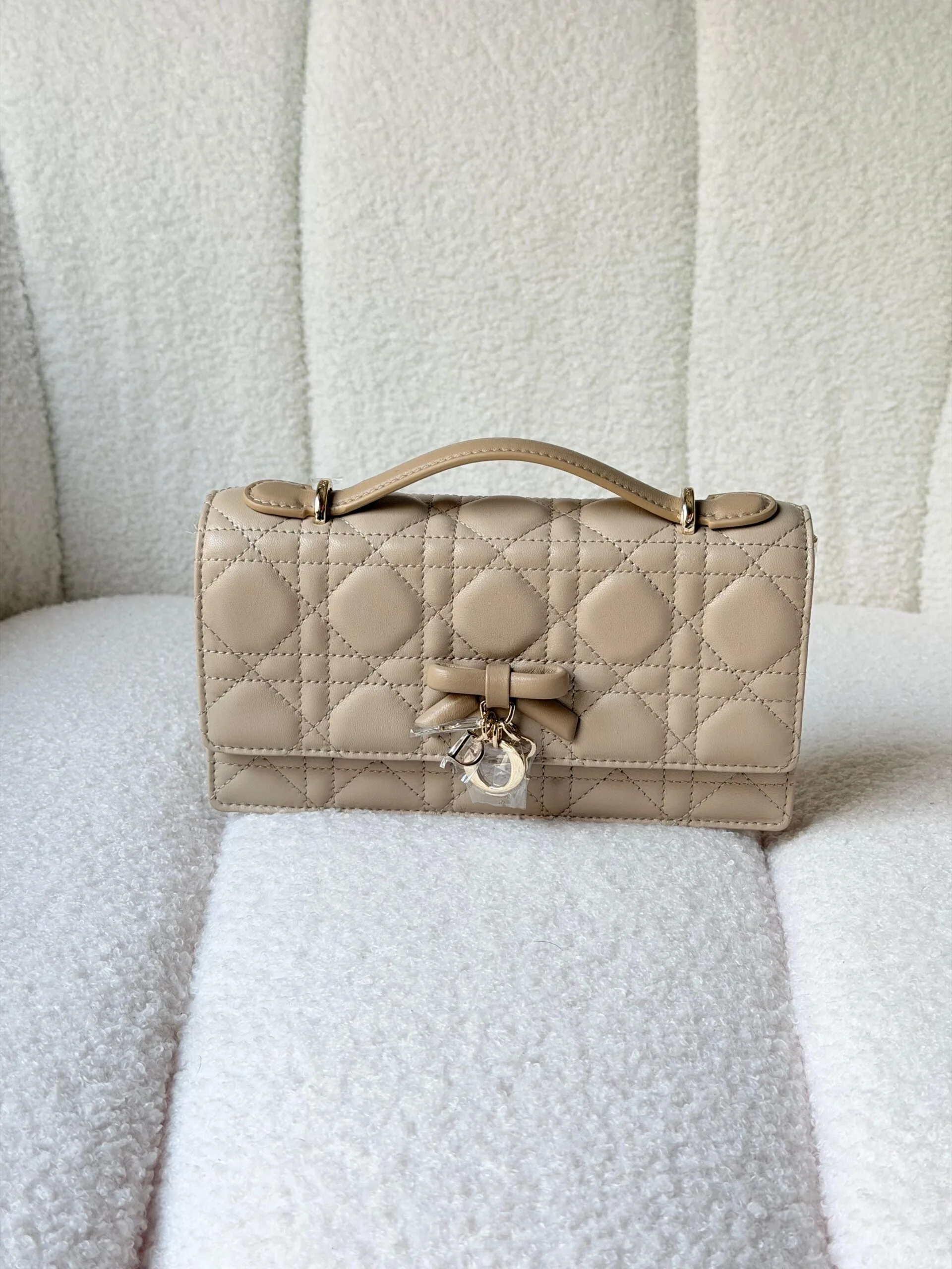 DIOR bag 20cm - Detail Close-up