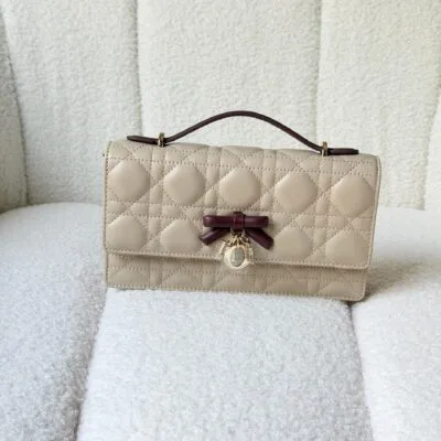 DIOR bag 20cm - Back View
