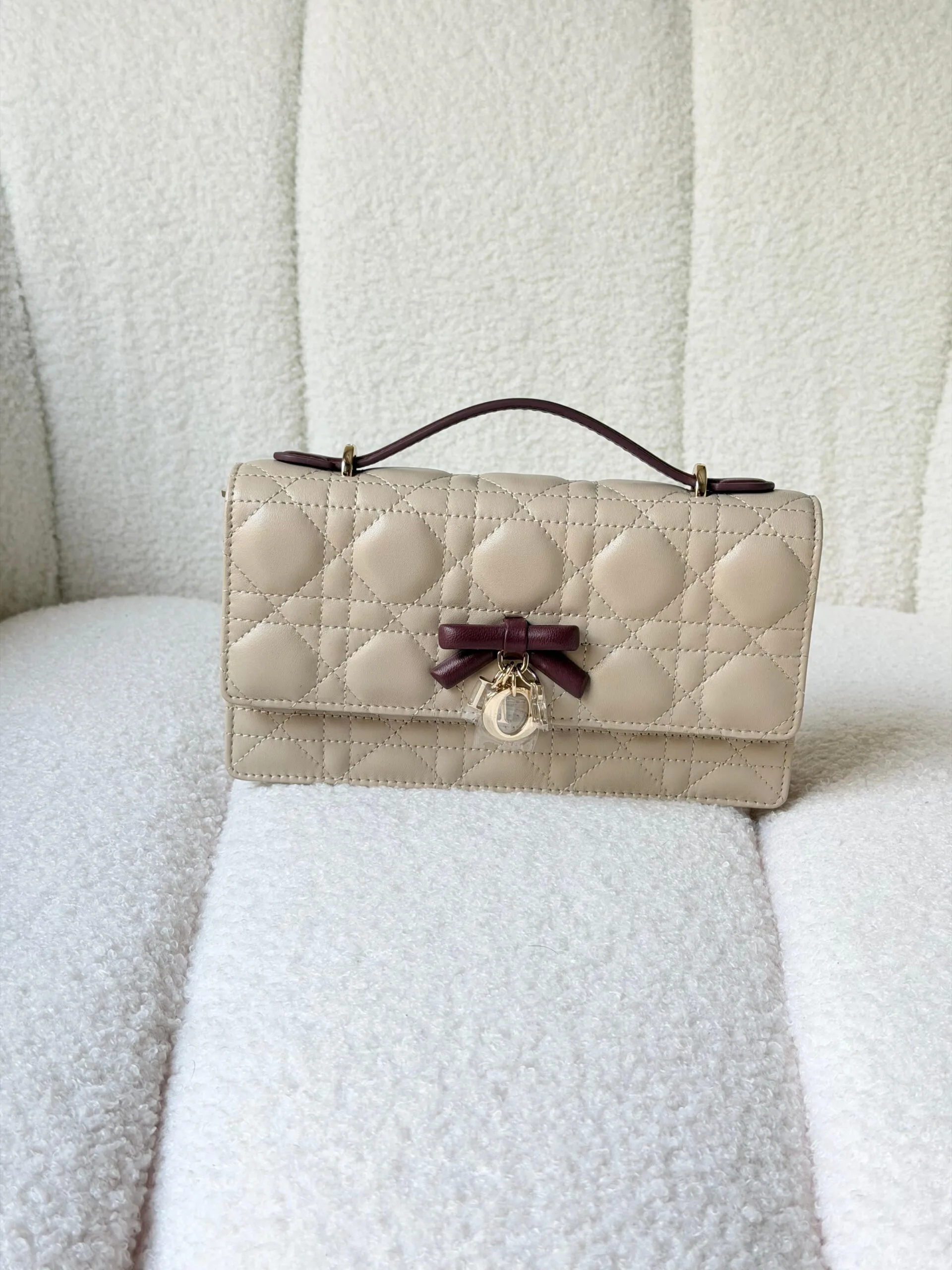 DIOR bag 20cm - Back View