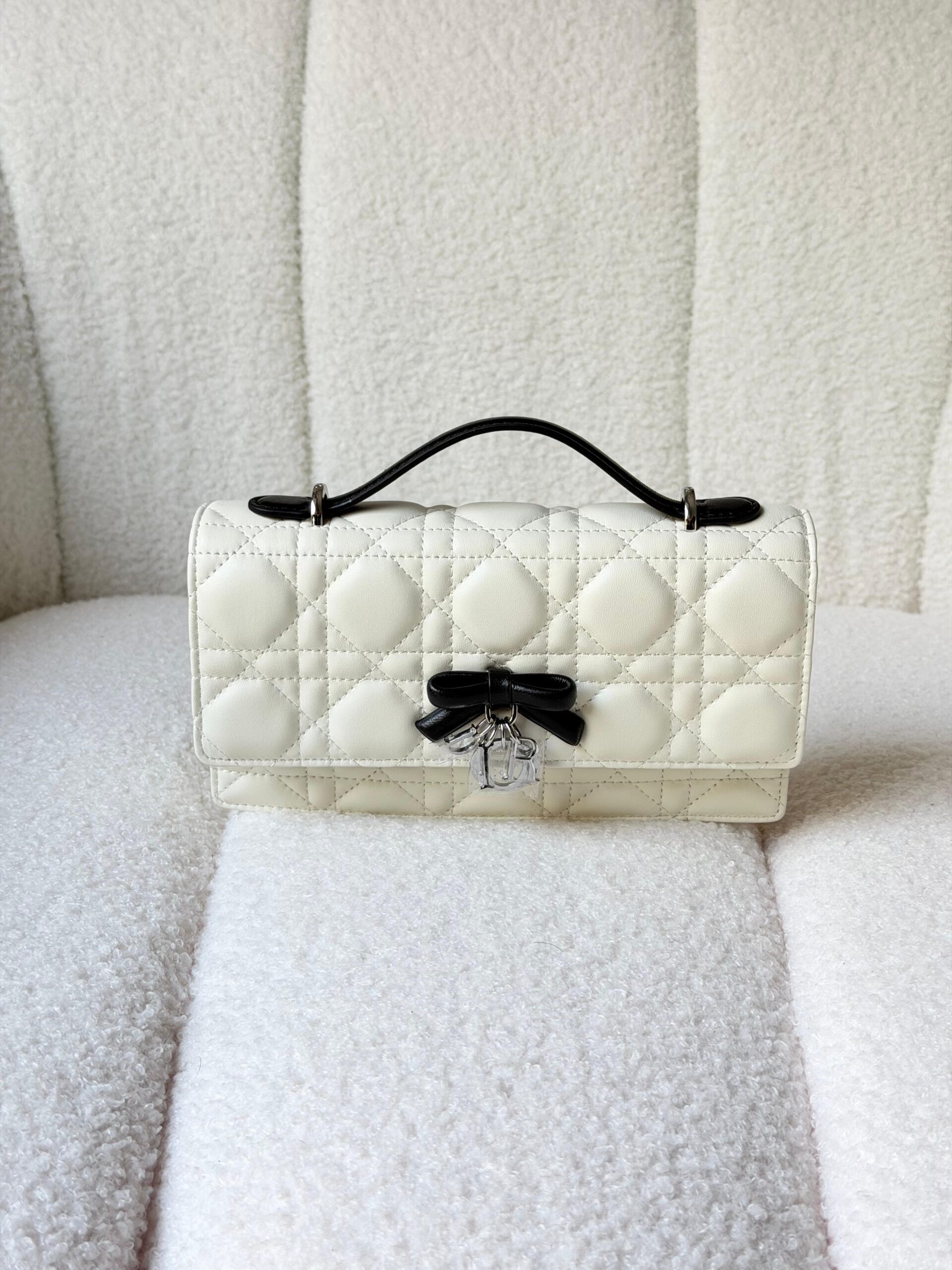 DIOR bag 20cm