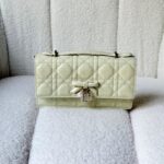 DIOR bag 20cm