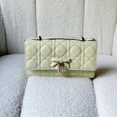 DIOR bag 20cm - Front View