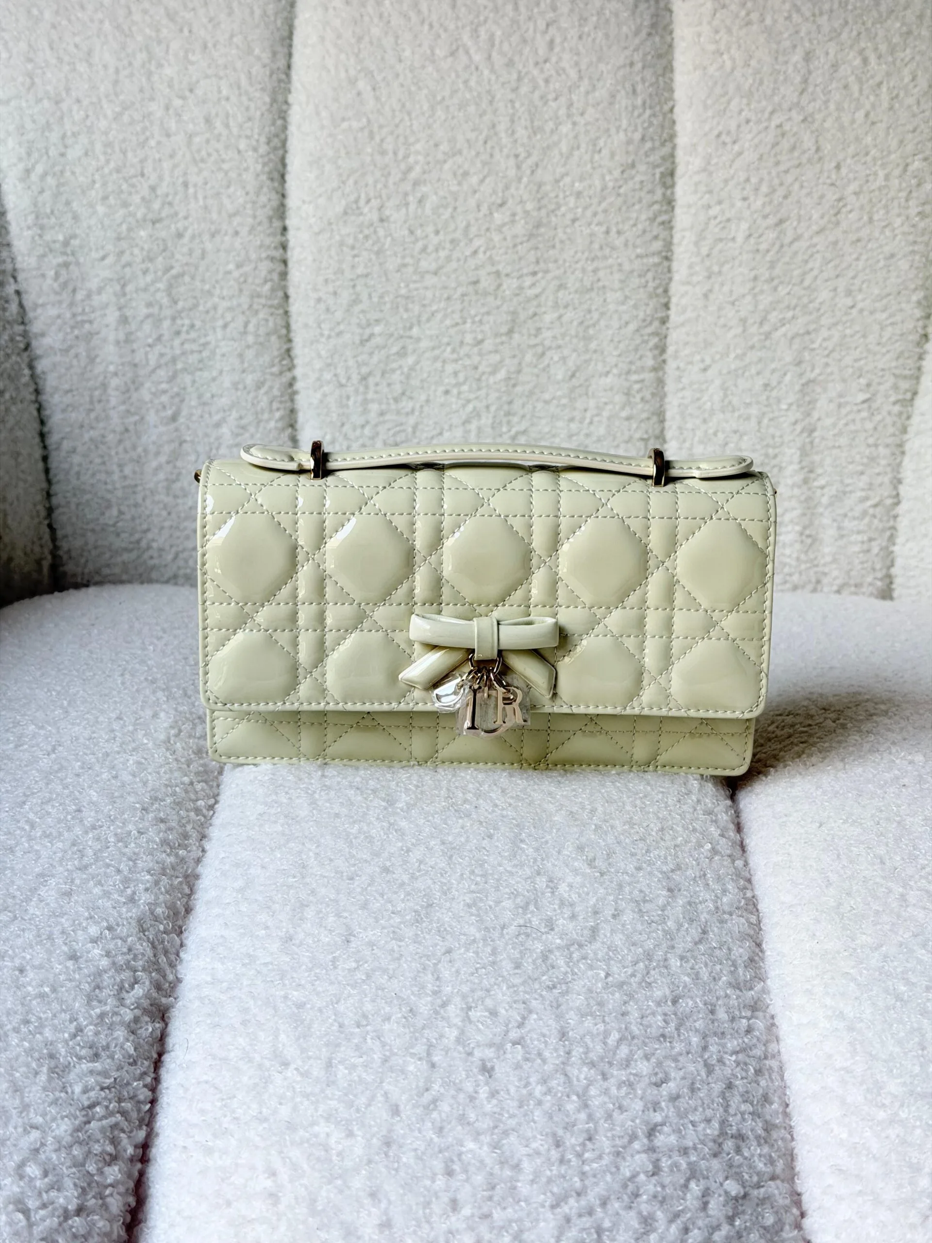 DIOR bag 20cm - Front View