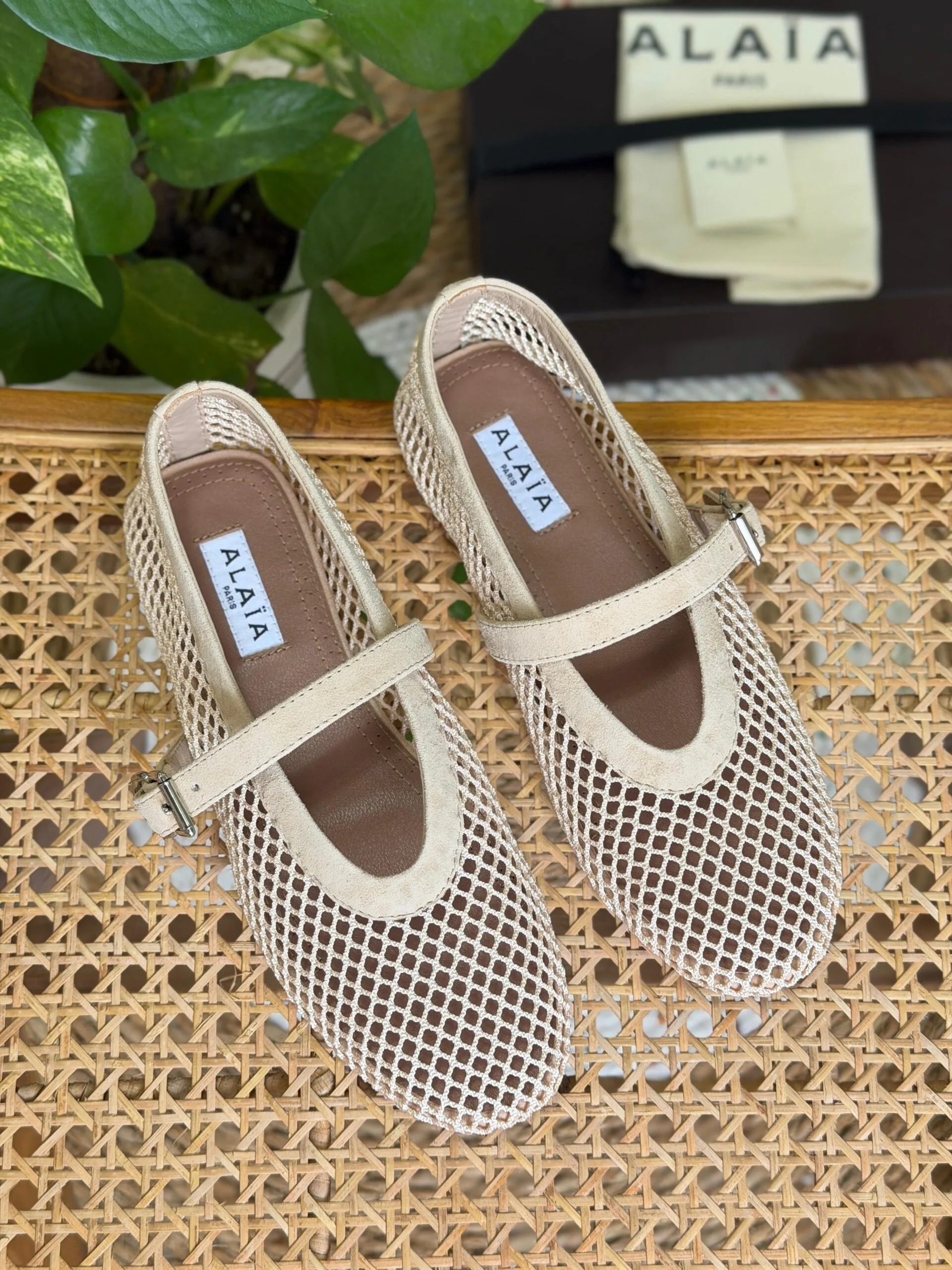 Fishnet Mesh Ballet Flats – Women's Chic Flat Shoes
