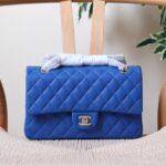 chanel bag 25cm