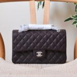 chanel bag 25cm