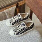 Dior Walk'n'Dior Sneaker