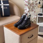 Dior B23 High-Top Sneaker