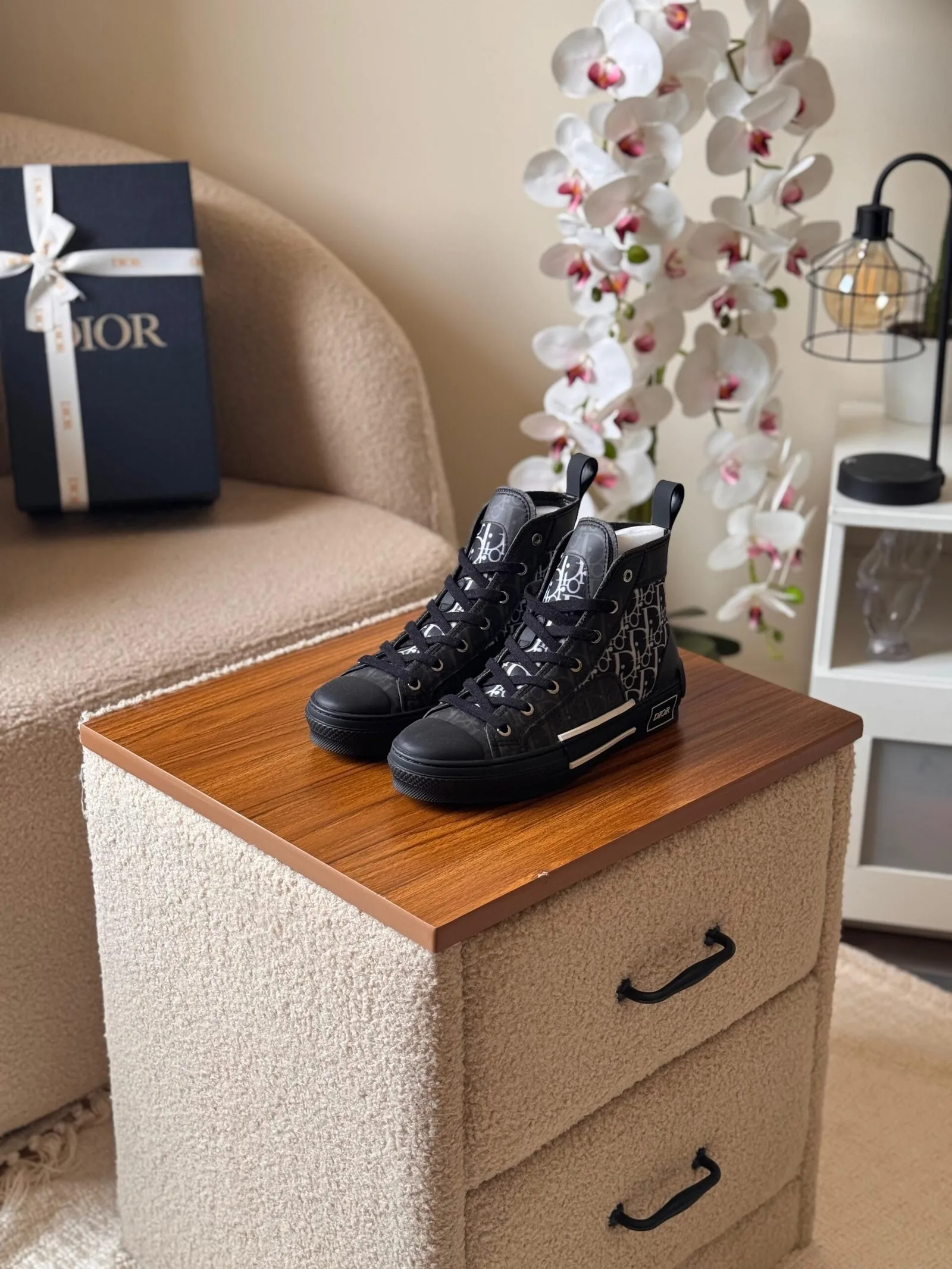 Dior B23 High-Top Sneaker