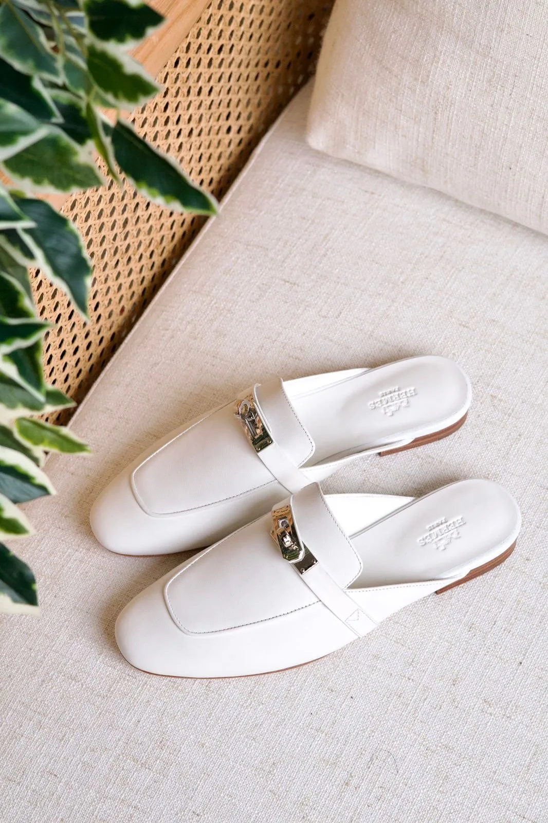 Hermes Oz mule