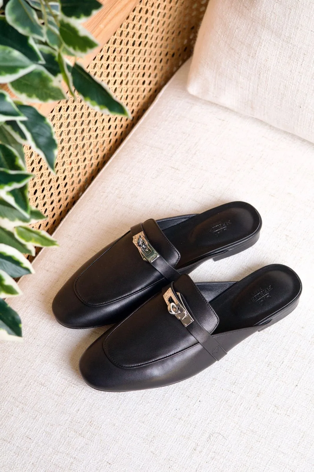Hermes Oz mule